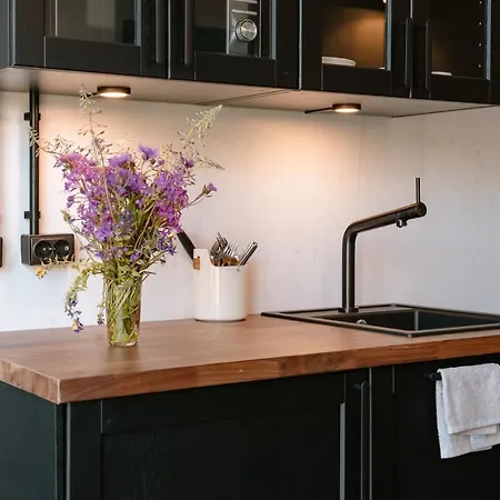 Horská chata Unique & New Tiny House Getaway At Rae Golf Course